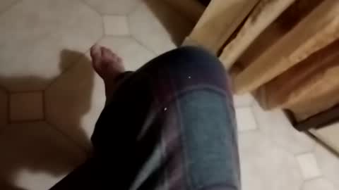 ciccilli online show from November 9, 3:38 am