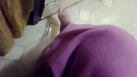 ciccilli online show from April 13, 7:19 pm