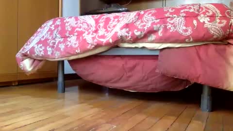 Snapshot of claudi779 chatting on December 29, 3:24 pm claudi779 online show from December 29, 3:24 pm