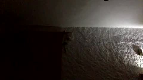 Snapshot of claudi779 chatting on January 11, 8:03 pm claudi779 online show from January 11, 8:03 pm