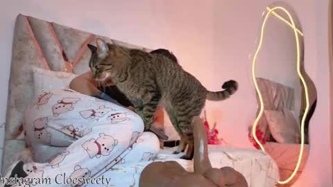 CLOE online show from September 21, 11:17 pm