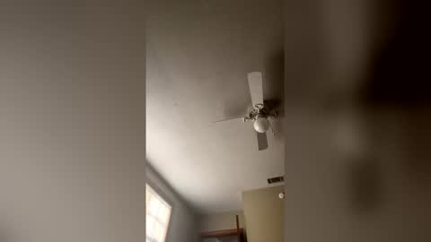 Snapshot of cm653925 chatting on February 3, 1:38 pm cm653925 online show from February 3, 1:38 pm