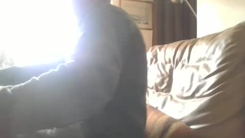 Snapshot of cock9635 chatting on December 28, 7:55 am cock9635 online show from December 28, 7:55 am