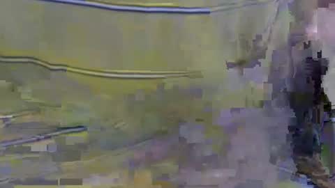 cockreadynow4u online show from October 22, 5:08 am