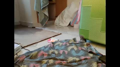 coco vixen9 online show from November 29, 9:12 am