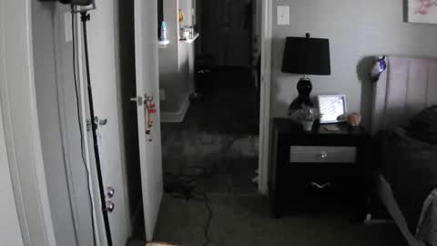 TheGoddessCodie online show from December 12, 3:05 pm