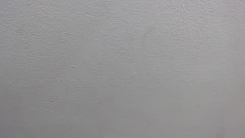  GRETCHEN  online show from January 16, 12:31 pm