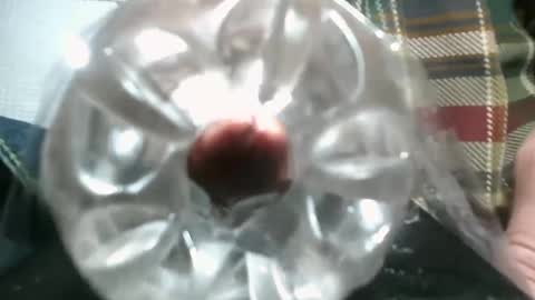 Snapshot of constructorcock chatting on December 3, 10:29 pm bearded hairy pits big brown cock online show from December 3, 10:29 pm