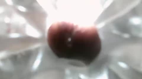 Snapshot of constructorcock chatting on December 7, 10:17 pm bearded hairy pits big brown cock online show from December 7, 10:17 pm