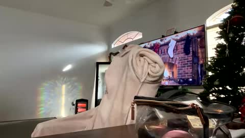 controllercutie online show from December 17, 2:45 pm