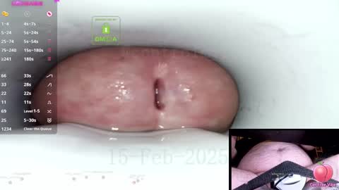 Snapshot of controlmytoys chatting on February 15, 9:59 pm Control online show from February 15, 9:59 pm