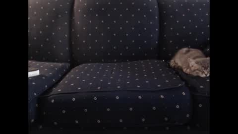 copper_crotch online show from December 19, 1:34 am