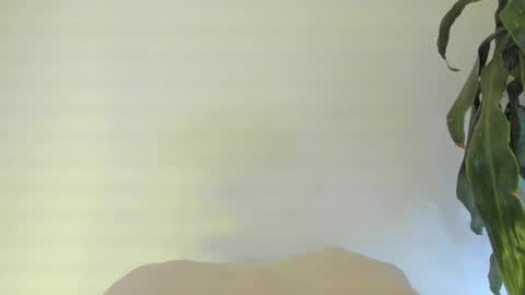 Coral princex online show from February 24, 6:11 am