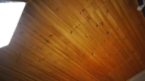 Coraline online show from April 14, 12:55 pm