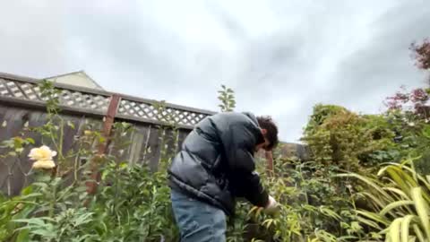 Snapshot of coronelking chatting on September 28, 10:26 pm coronelking online show from September 28, 10:26 pm