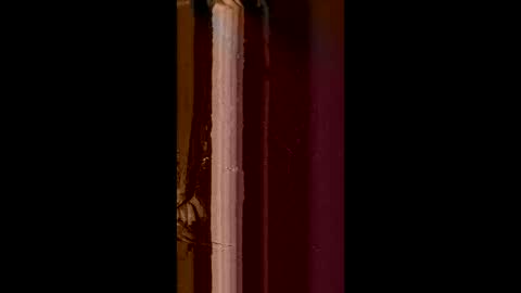 Corrado online show from February 8, 8:52 am