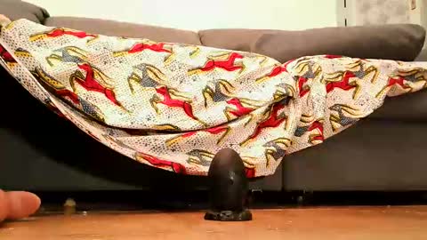 Andy sissy room online show from September 26, 4:33 pm