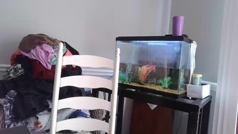 Snapshot of countrylovin2018 chatting on March 4, 5:56 pm Fallen Angel 21 online show from March 4, 5:56 pm