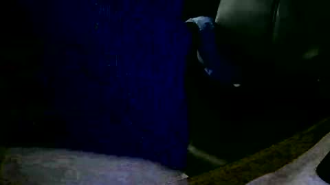 coyote017 online show from January 31, 11:13 am