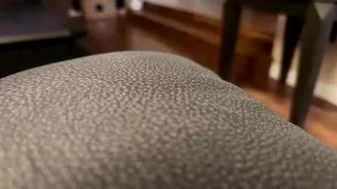 Snapshot of cranada777 chatting on February 27, 1:49 am Cranada777 online show from February 27, 1:49 am