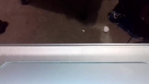 craveitoften online show from January 31, 1:11 am