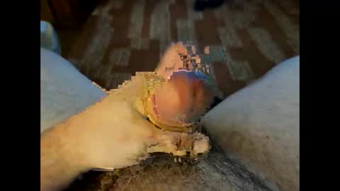 Crazycock online show from March 23, 4:22 pm