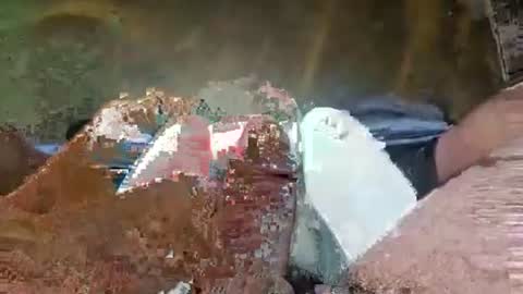 Crazycock online show from July 7, 5:06 pm