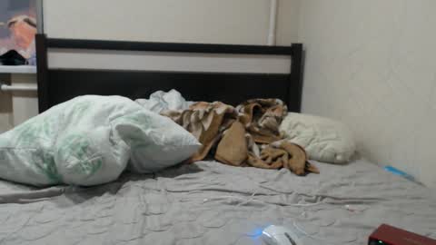 JOIN IN A FAN CLUB AND YOU WILL HAVE 90 OF MY PHOTOVIDEO    FREE FANSLY -  online show from January 19, 1:09 am