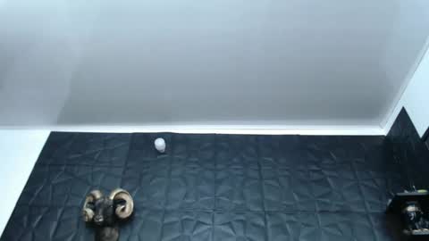 Snapshot of cristal_smith06 chatting on February 27, 5:56 am Hanna online show from February 27, 5:56 am