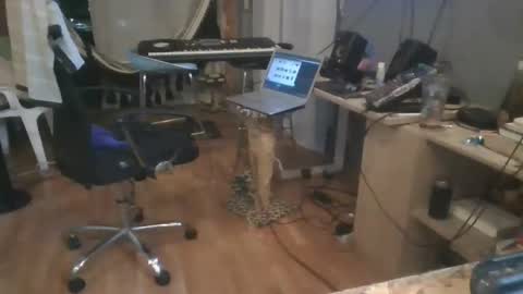 Snapshot of cristalcristo chatting on May 11, 5:02 am cristalcristo online show from May 11, 5:02 am