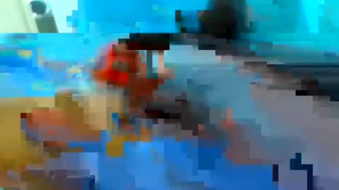 cristian20240816 online show from May 17, 2:46 pm