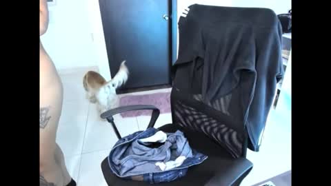 cristinasweet7 online show from November 30, 3:32 am