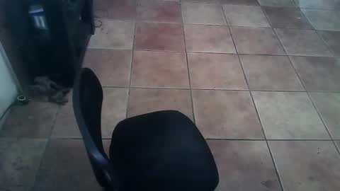 crossdressernola504 online show from February 26, 6:29 pm