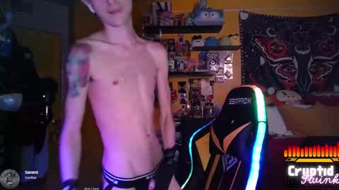 CryptidTwink online show from March 15, 6:30 am