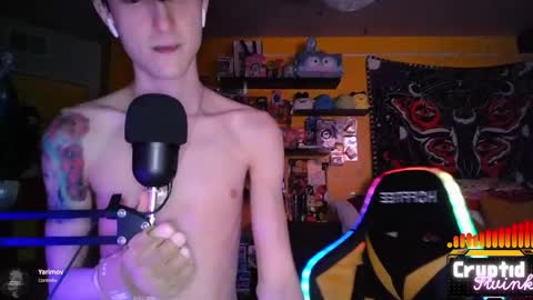 CryptidTwink online show from April 2, 6:22 am