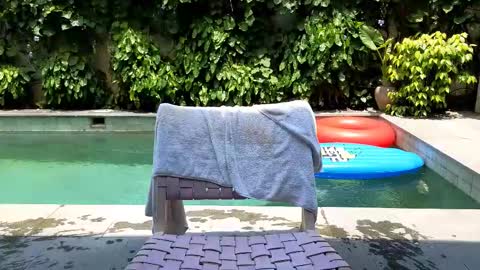 Lin inst lingoodyy online show from February 25, 3:52 am