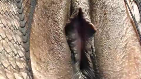 Snapshot of cuitbea chatting on February 16, 9:00 pm Nambuusi Irene online show from February 16, 9:00 pm