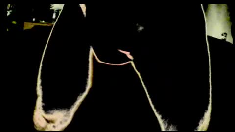 cum4me2i812 online show from July 23, 12:46 am