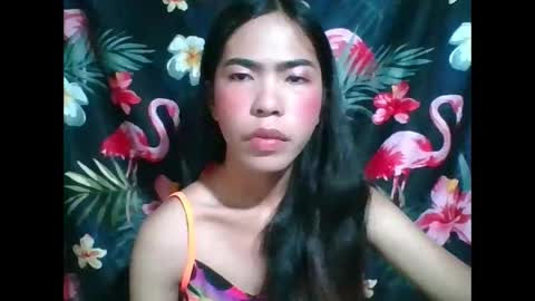 cumhill online show from November 25, 2:33 am