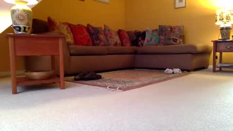 cumonherguys online show from November 7, 8:25 am