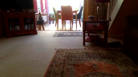cumonherguys online show from June 29, 7:25 am