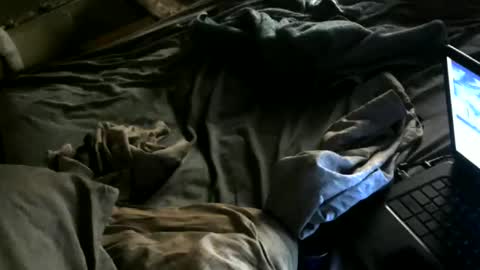 cumwith_me80 online show from May 8, 7:46 am