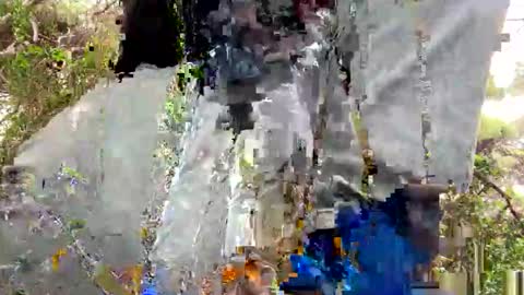 Curioso 965 online show from November 25, 10:26 am