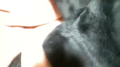 Snapshot of cutandwaxed2 chatting on March 5, 11:27 pm BI SMOOTH MATURE  SUB online show from March 5, 11:27 pm