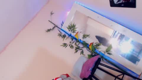 danny online show from December 17, 3:17 pm