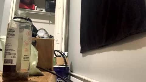 Snapshot of cutealisandra chatting on February 3, 3:04 am cutealisandra online show from February 3, 3:04 am