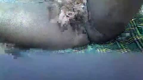 daddy online show from November 16, 1:39 pm