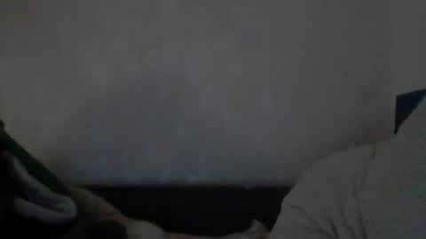 cutekattie online show from December 9, 8:00 am