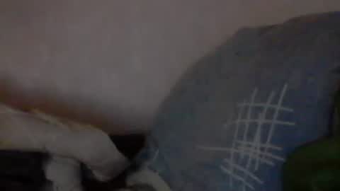 cutekattie online show from January 9, 3:58 am