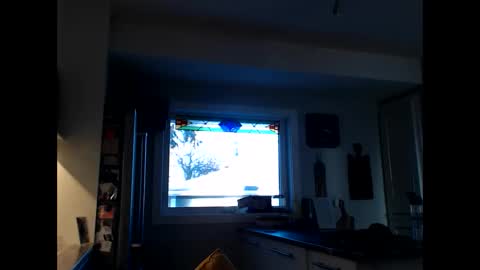 Snapshot of cxcdn chatting on January 22, 10:15 pm cxcdn online show from January 22, 10:15 pm